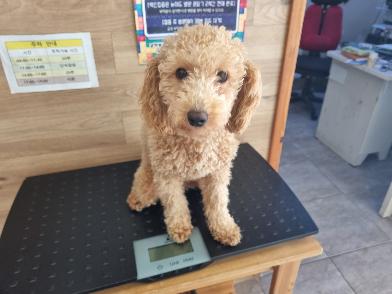 프렌즈동물병원_445464202302775